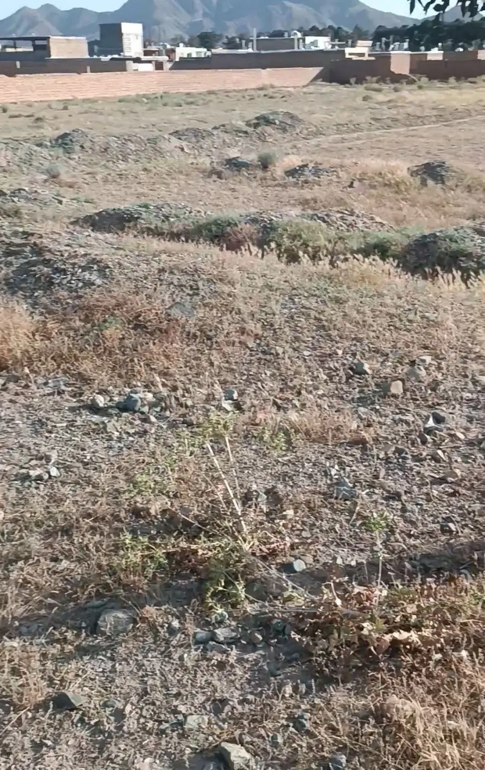 زمین فروشی