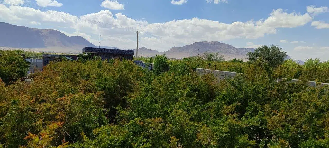 باغ مثمر ثمر