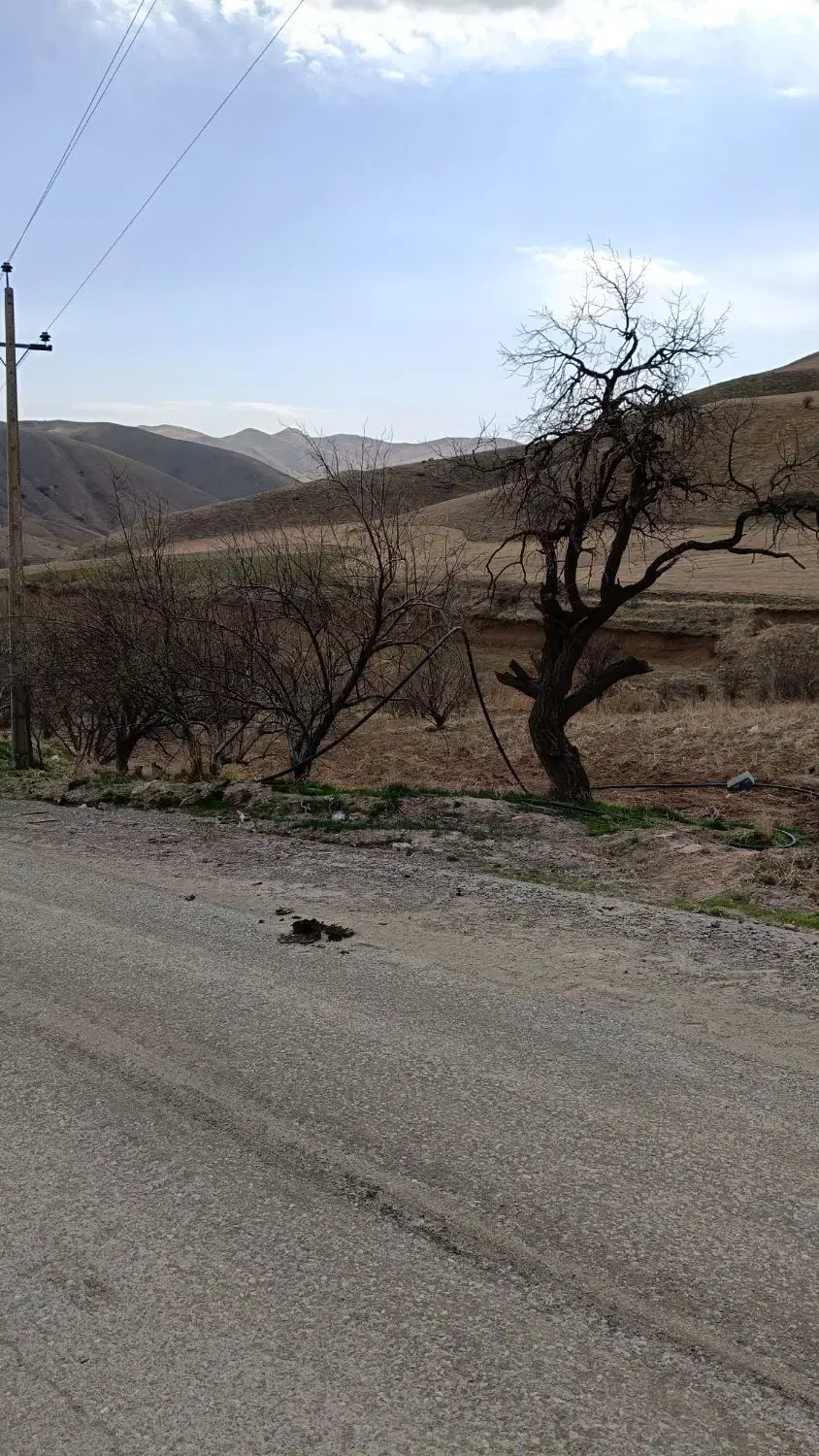 زمین کشاورزی با تمامی امکانات