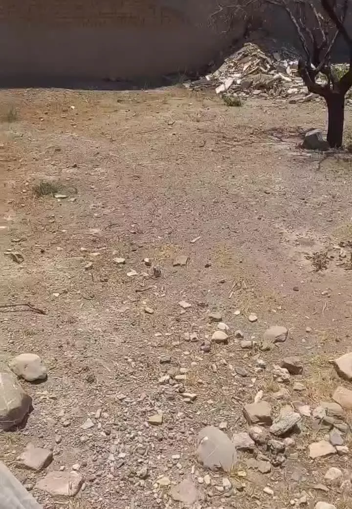 فروش زمین مسکونی