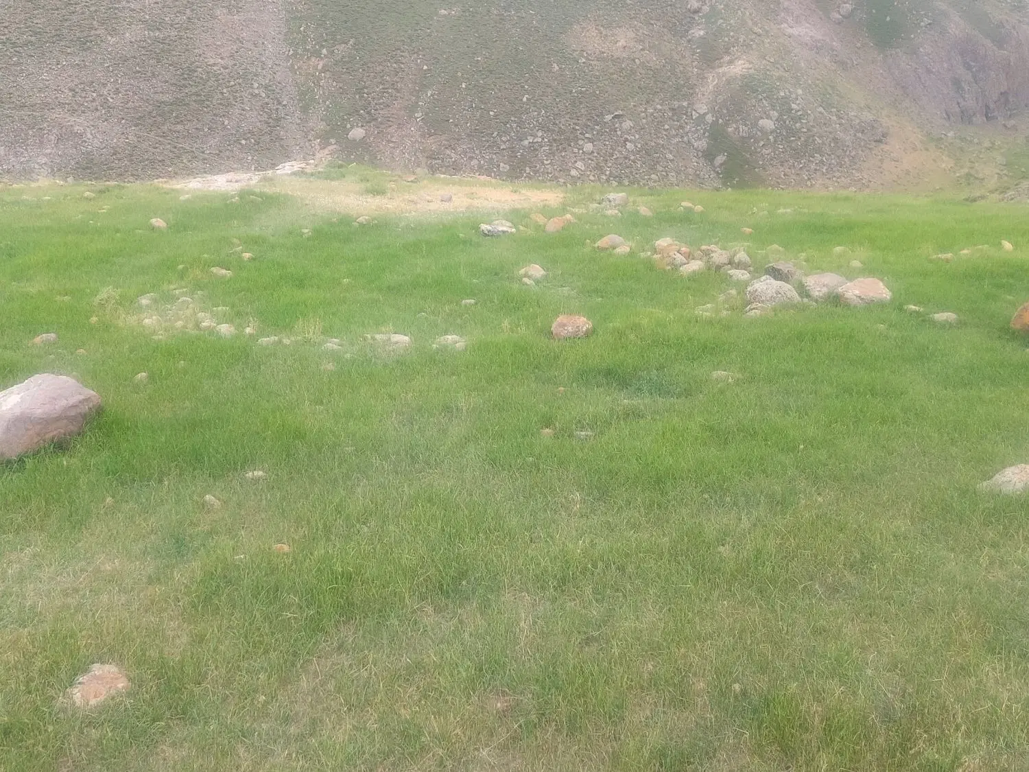 زمین