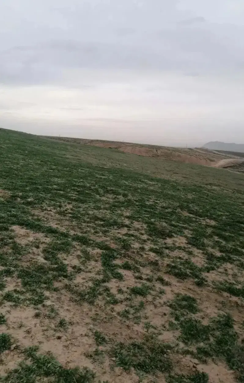 بدون آب