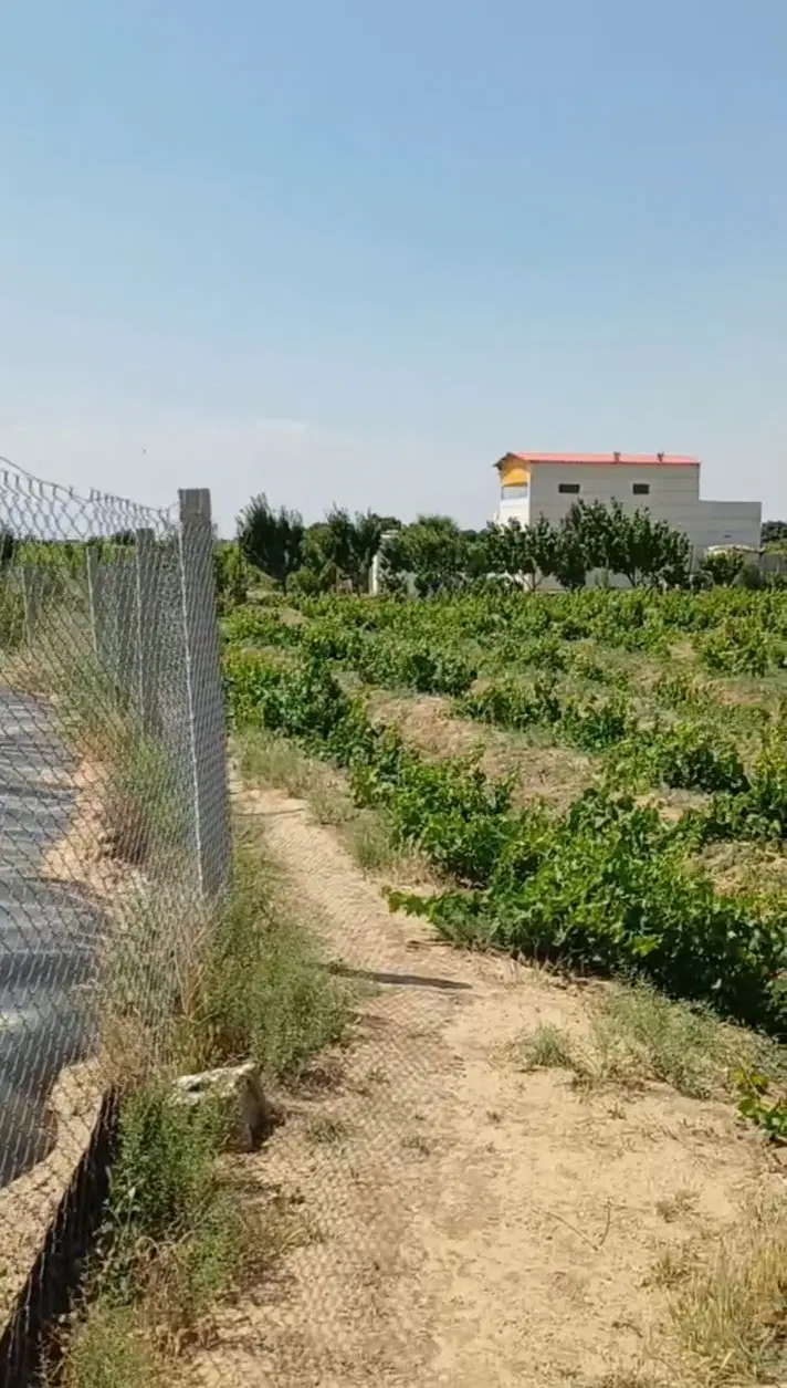 فروش زمین باغ باغچه ویلایی
