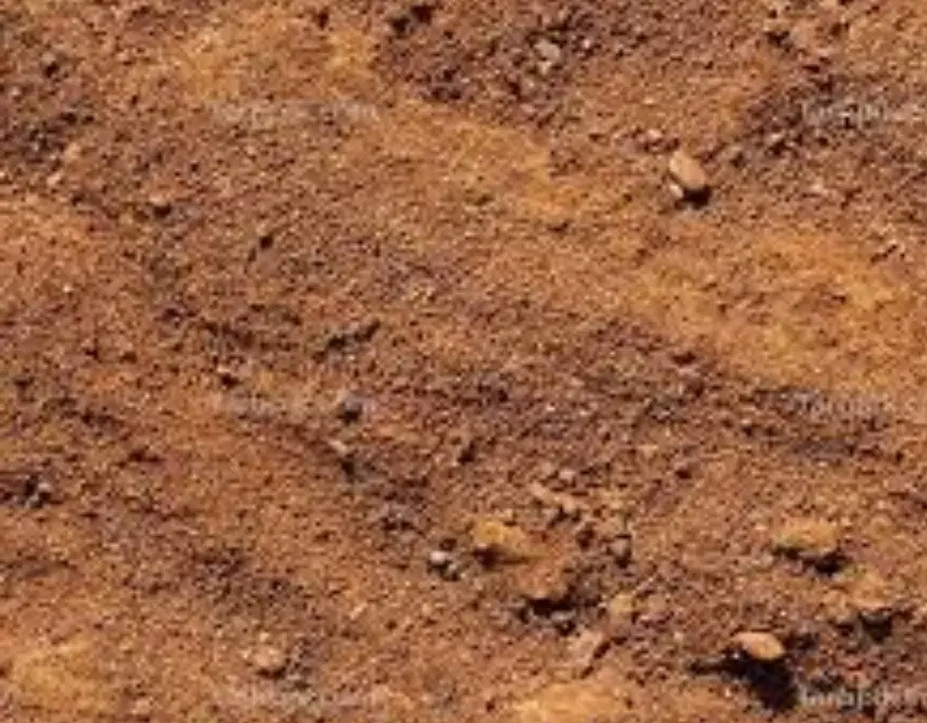زمین  شهرداری