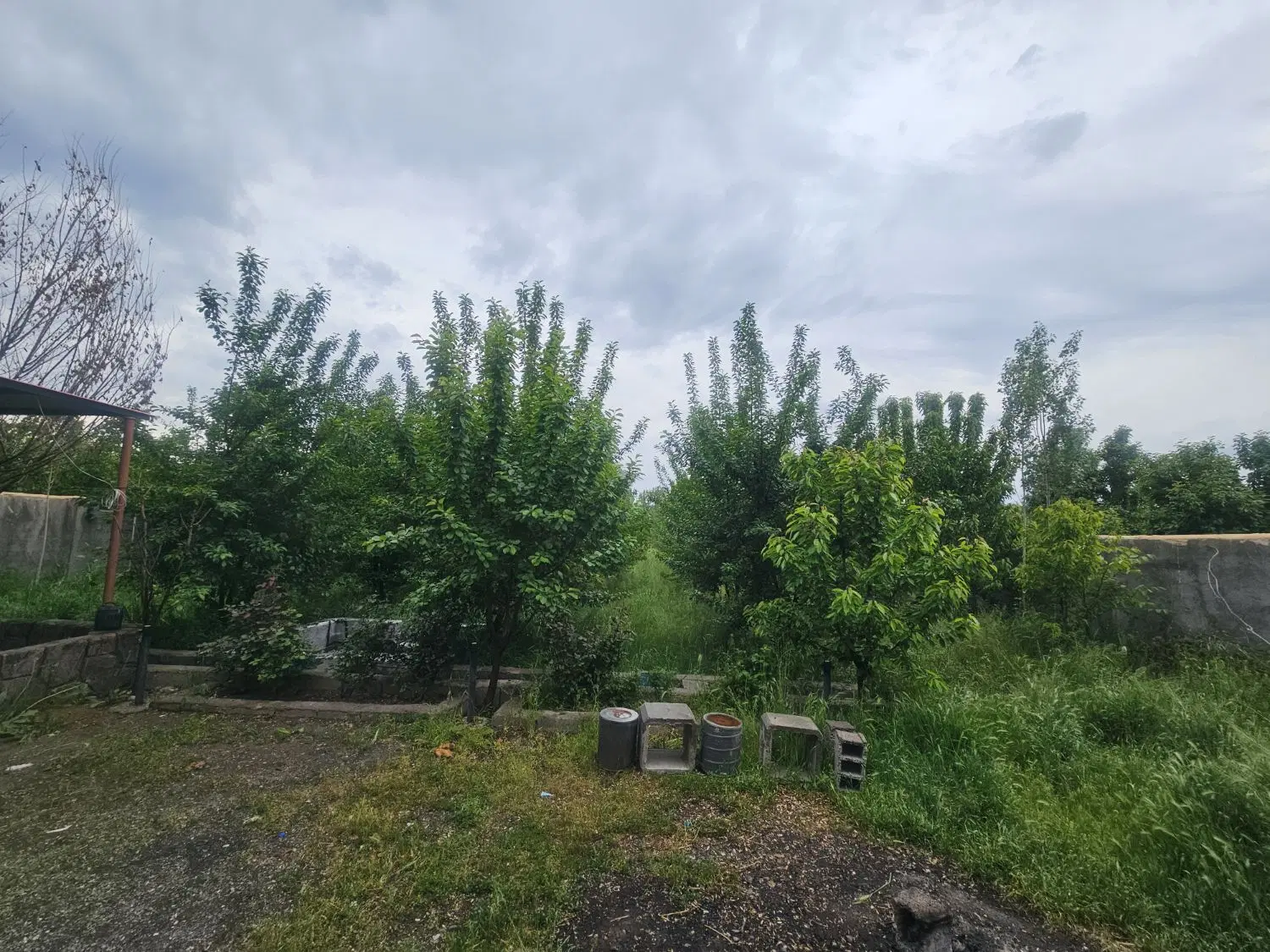 خونه باغ