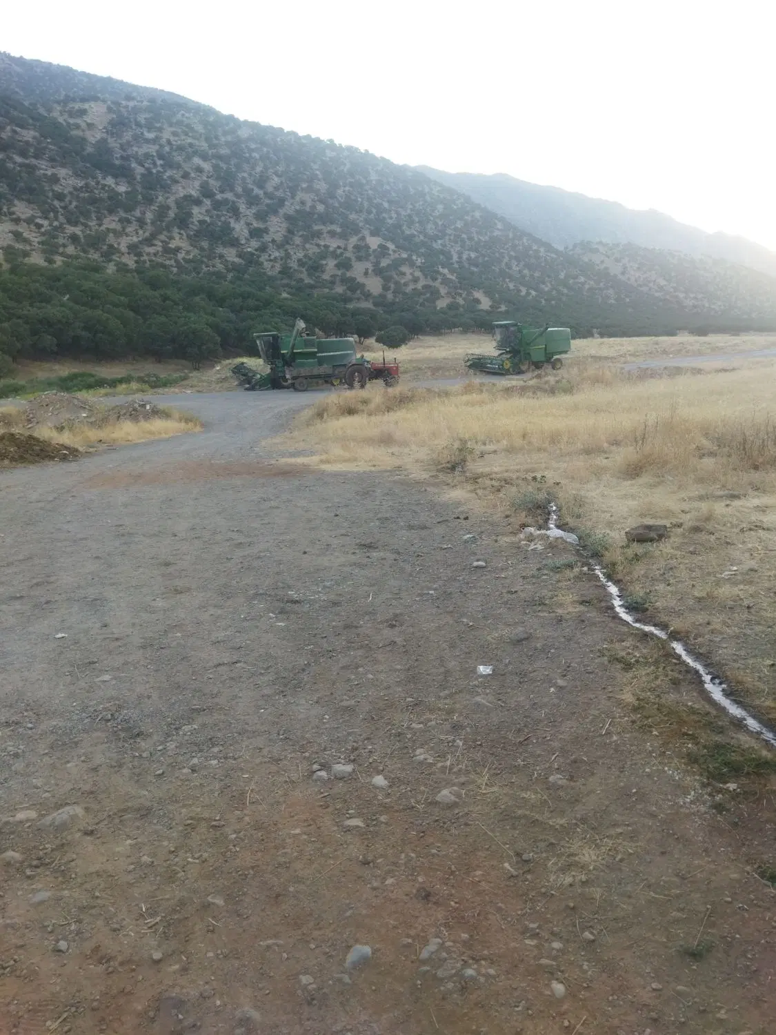 اجاره دامداری