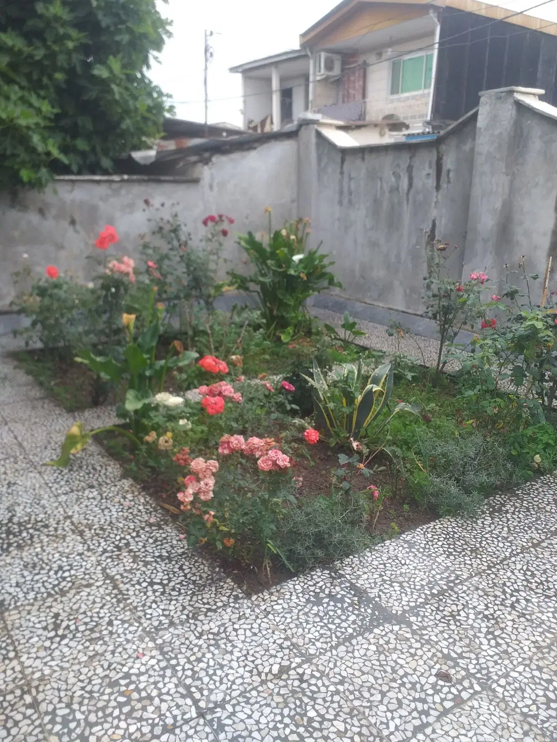 خانه ویلایی