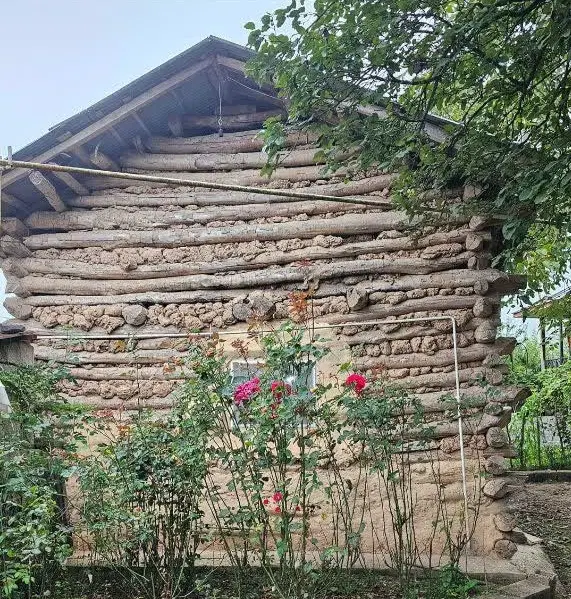 ویلا دربست