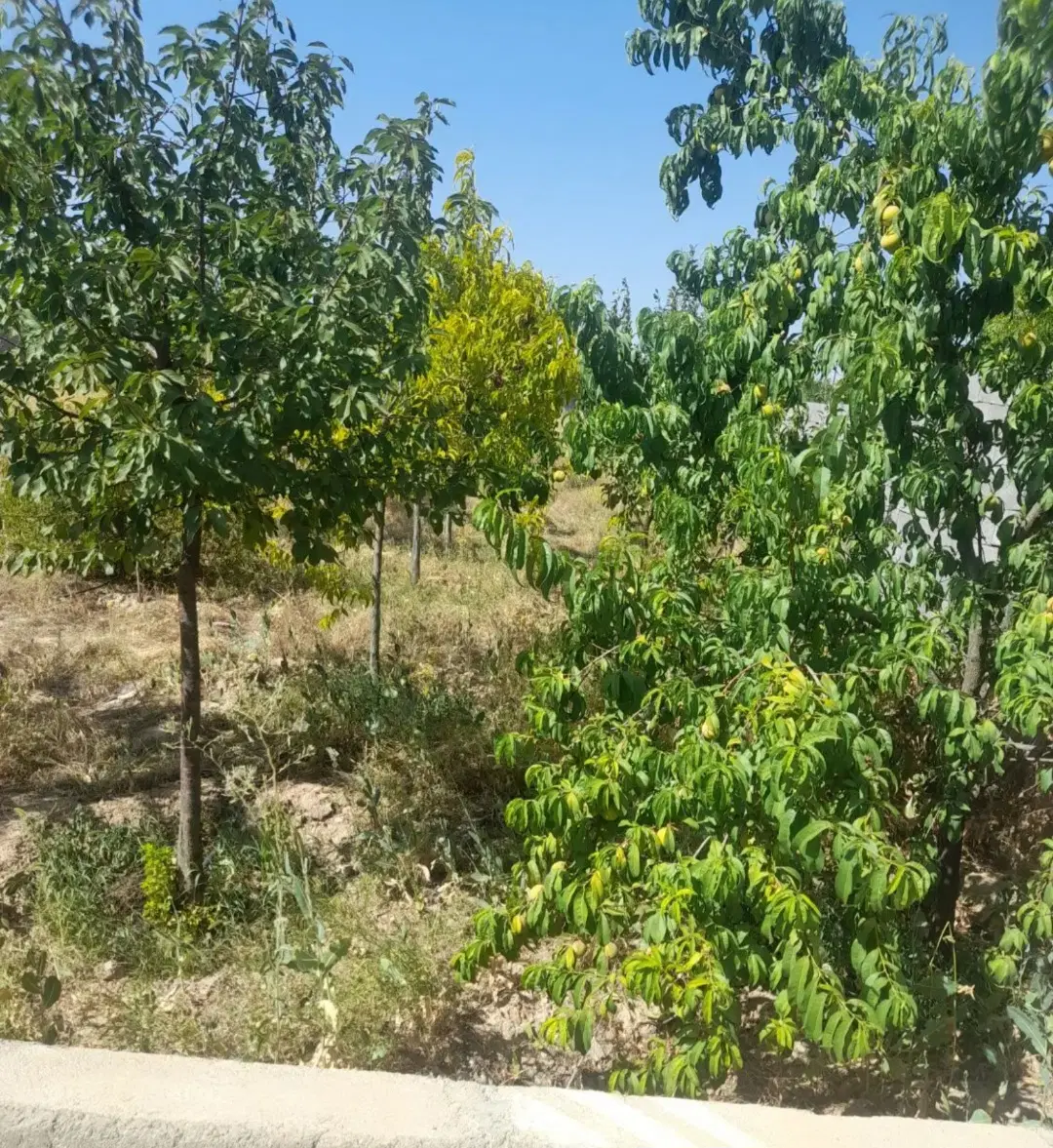 خانه روستایی در بافت روستا