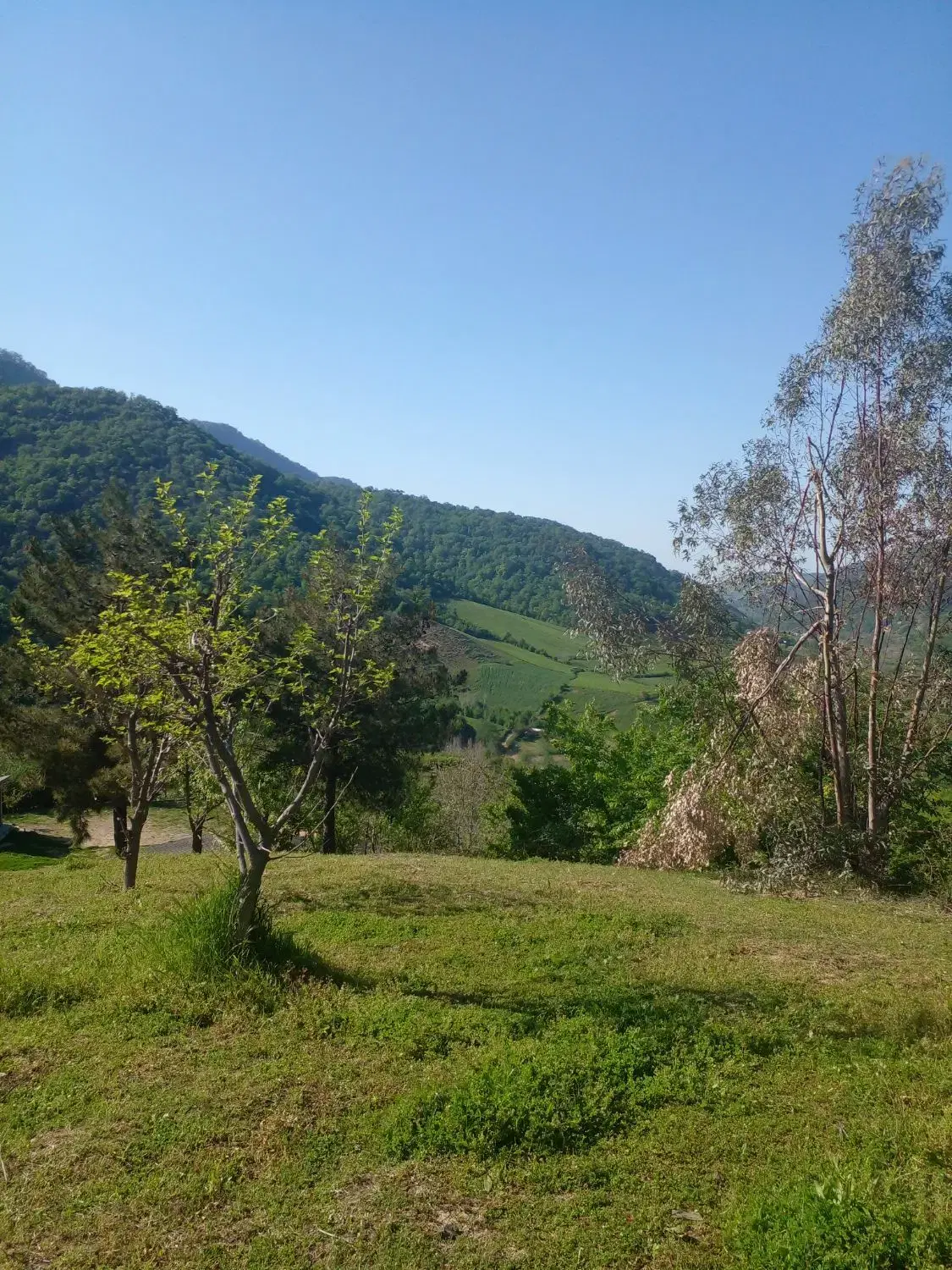 زمین مسکونی واقع در روستا ملاشی
