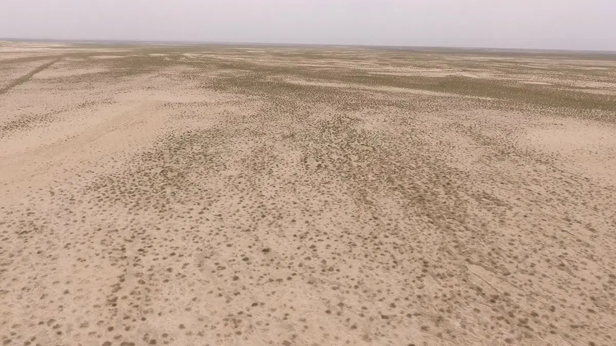 ۲۰ هکتار زمین برای انواع طرح