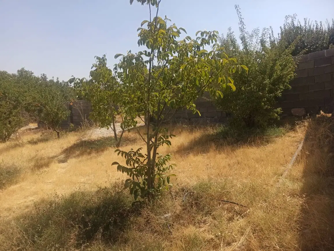 زمین دشت ارژن