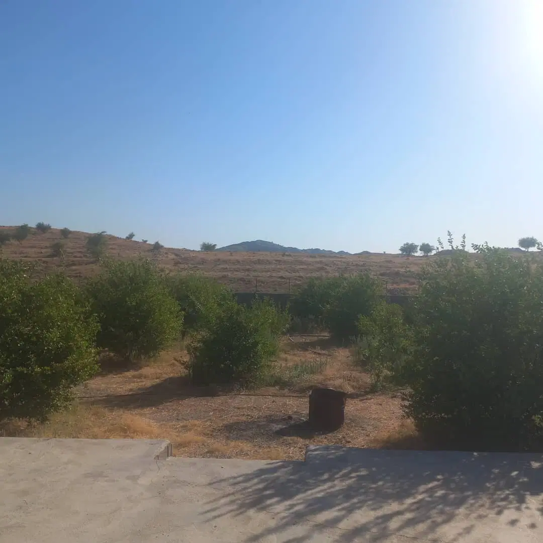 خونه باغ