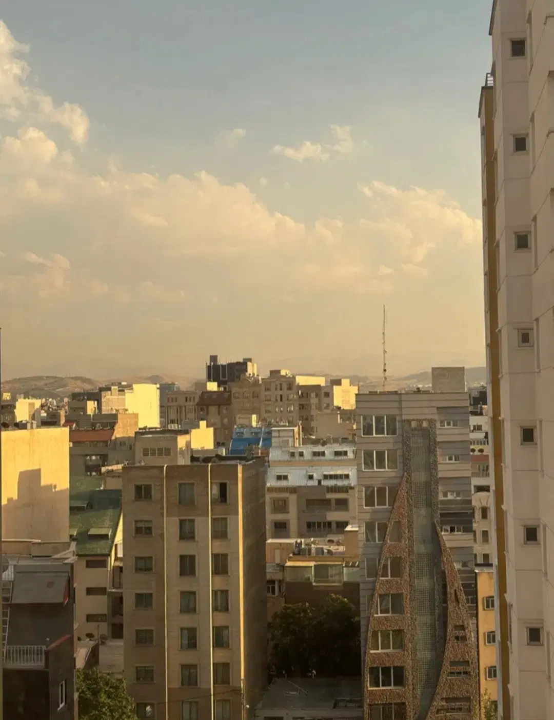دنبال همخونه‌ام