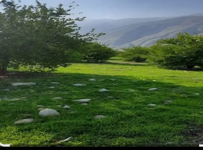 زمین باغ شهری