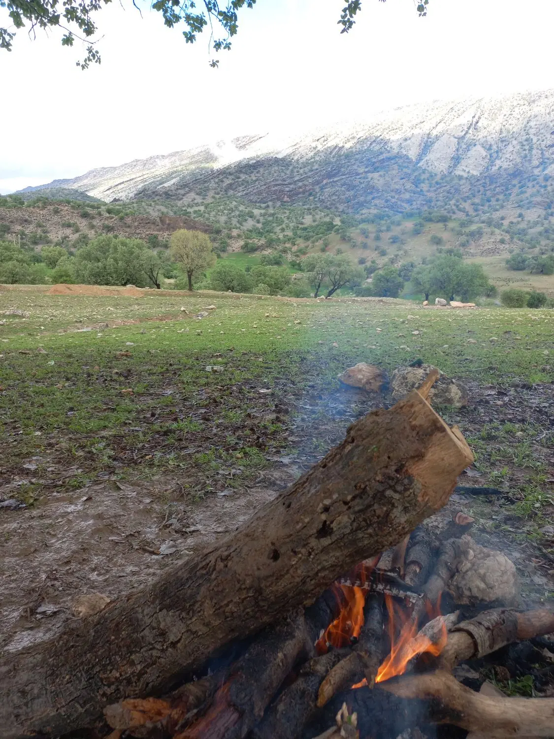 زمین ۲۶۰ متر سر دو نبش