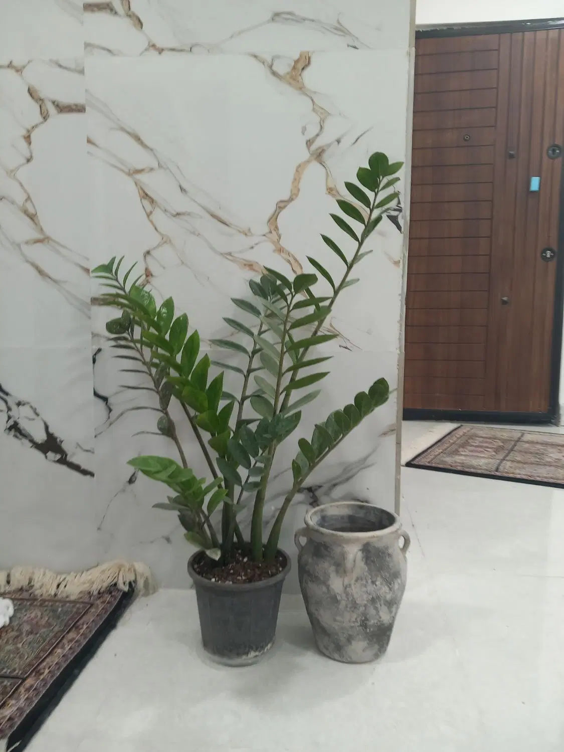 منزل ویلای