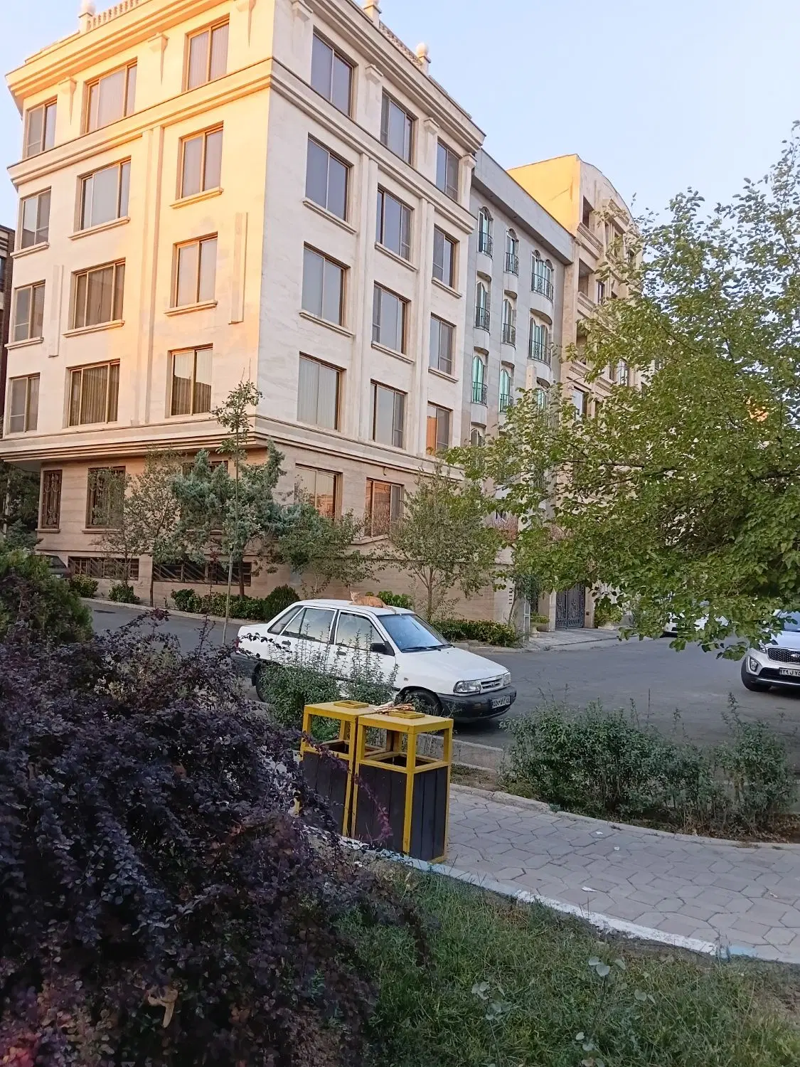 ۸۵متر بازسازی شده عدالت ۵۳