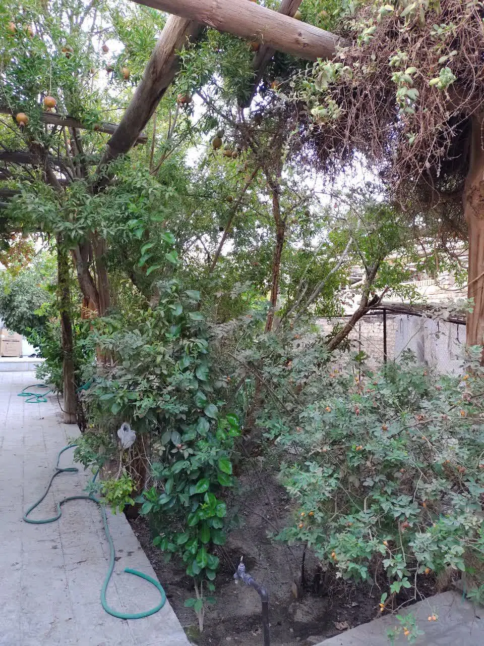 خانه ویلایی حیاط‌دار (مناسب سرمایه‌گذاری)در یزد