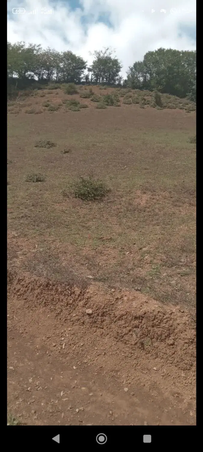 زمین در سوادکوه