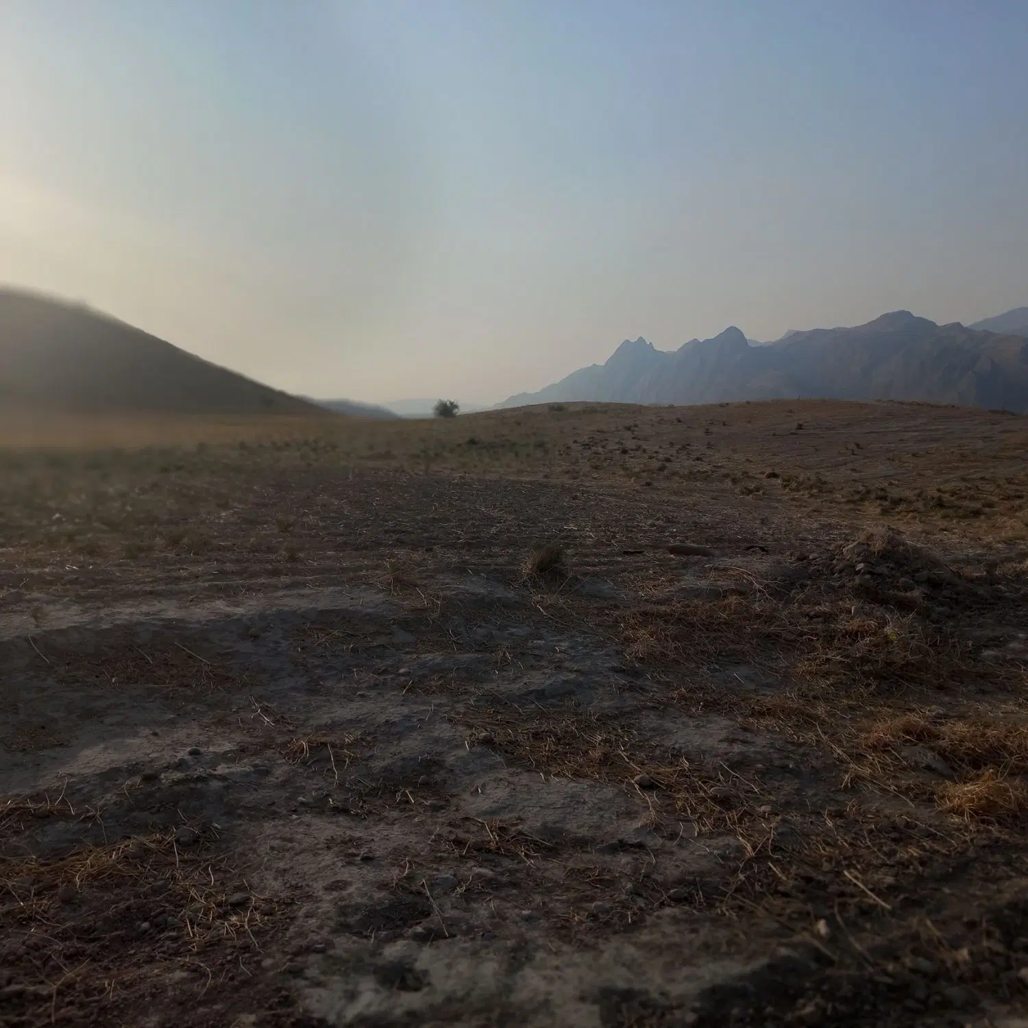 فروش زمین باغی
