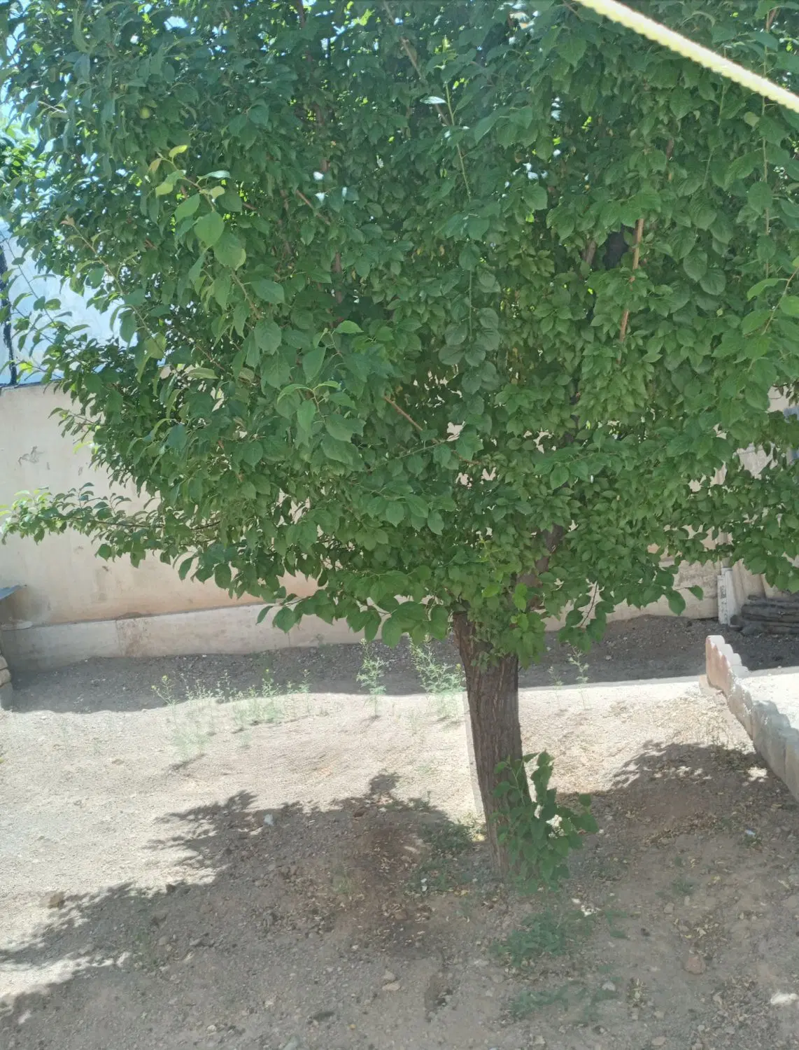 ویلایی غرق اباد
