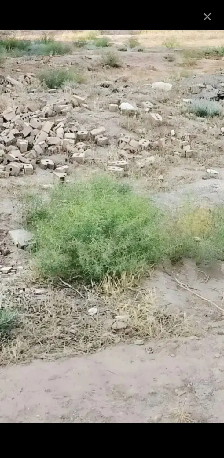 زمین باغسنگان سفلی