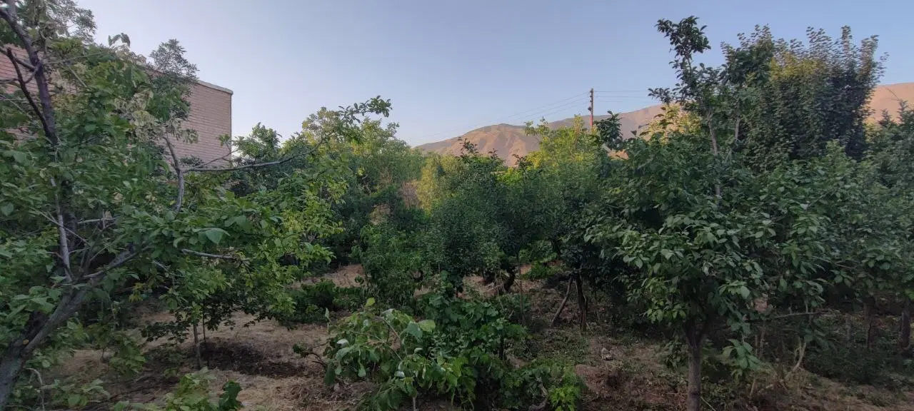 باغ واقع در روستای دارالسلام