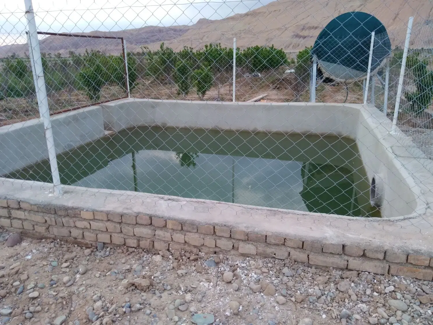زمین باغی ناروهه بنه کوه