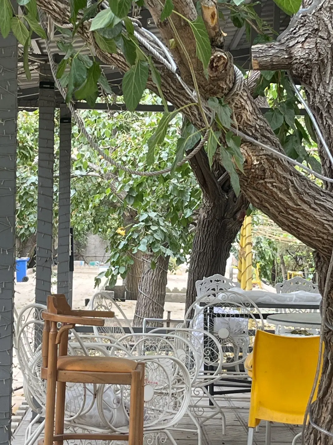 اجاره تجاری شهران