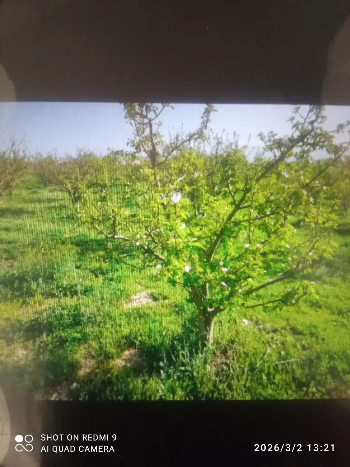 باغ‌‌در‌اهر۷۰۰۰متری‌۲۵۰‌هزار
