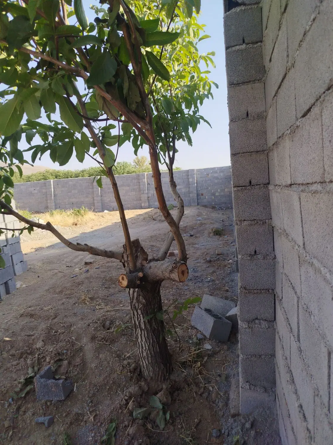 زمین چهاردیواری