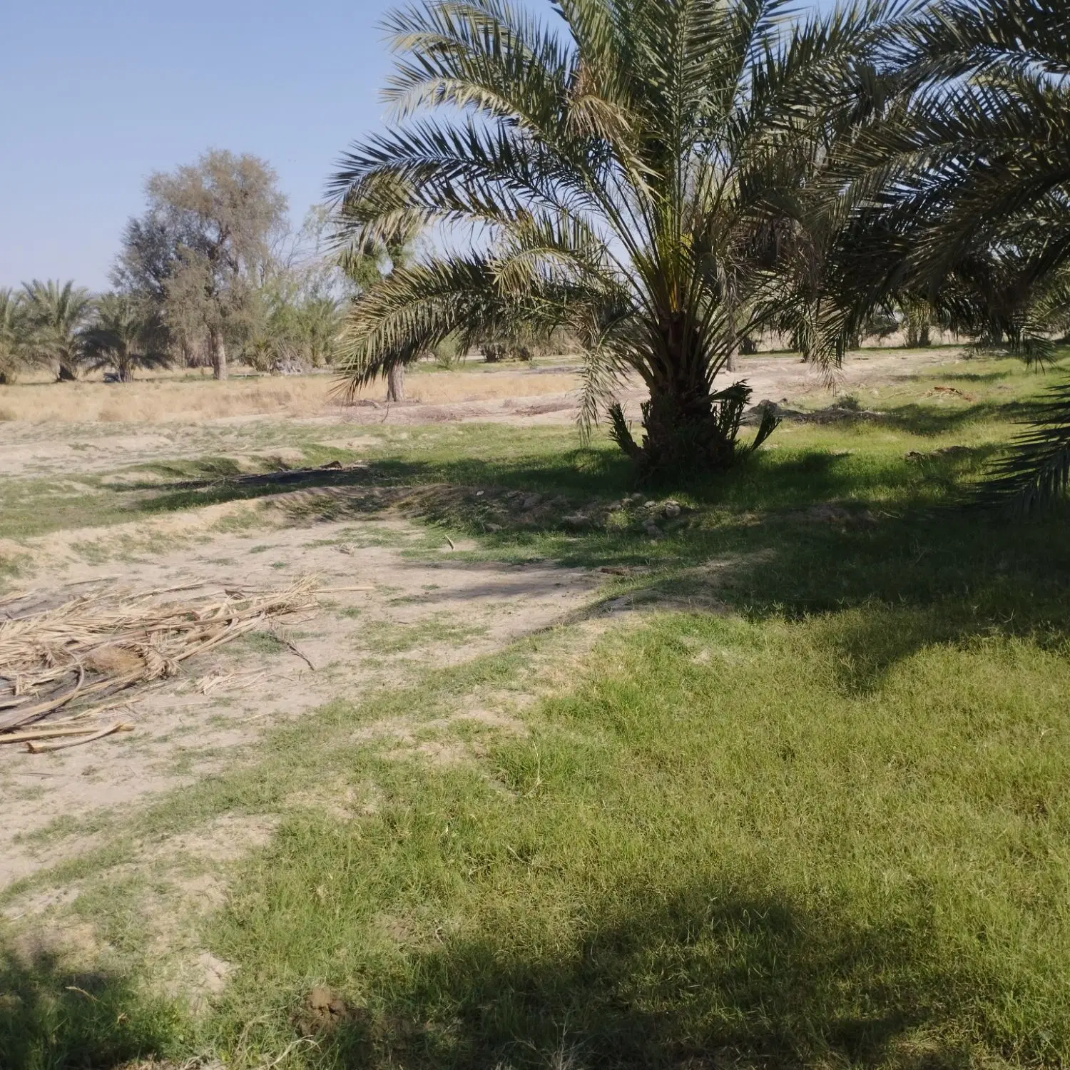 ملک کلنگی تجاری مسکونی فروشی