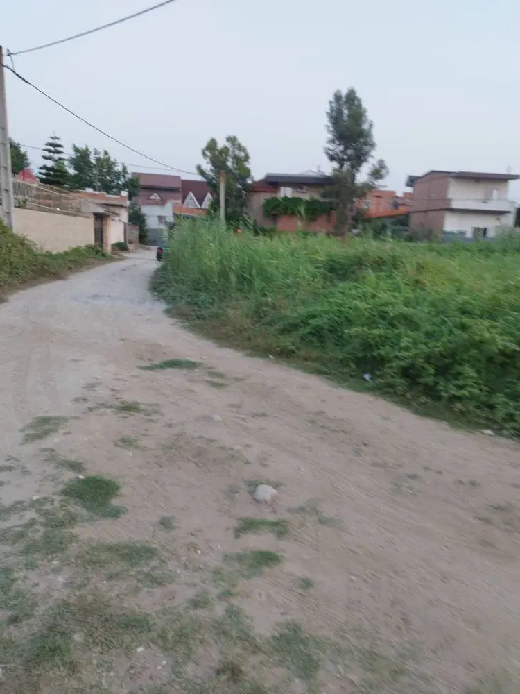 ۵۵۰مترباغ ازبافت مسکونی روستایی در بر اصلی