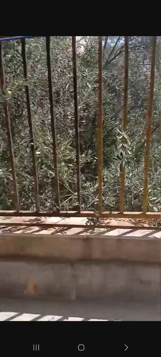 آپارتمان دو خواب  فضیلت