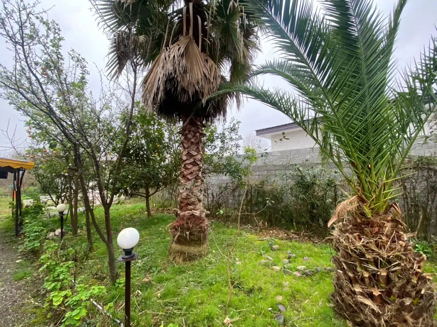 ویلا باغ۱۰۰۰ متری روستای جوریاب