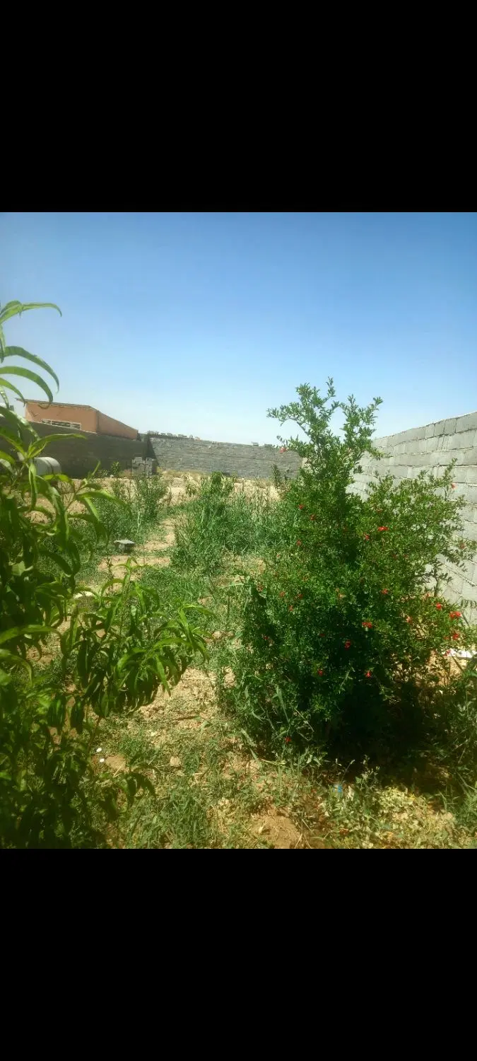 چهاردیواری باغی