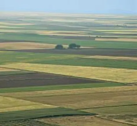 زمین کشاورزی