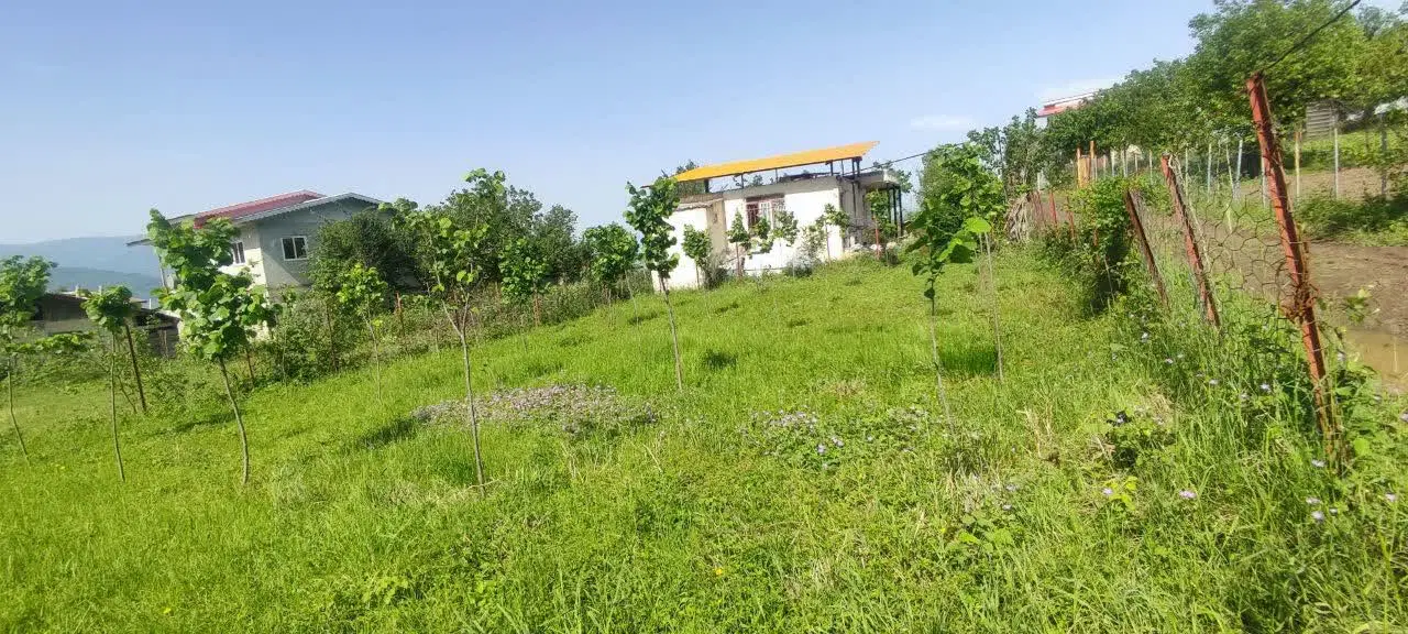 زمین مسکونی واقع در روستای سیدشت