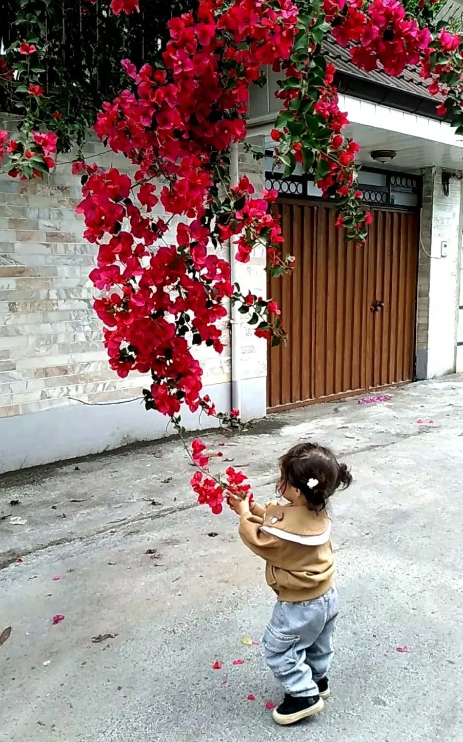 فروش ویلایی بزرگ ولی عصر منظریه