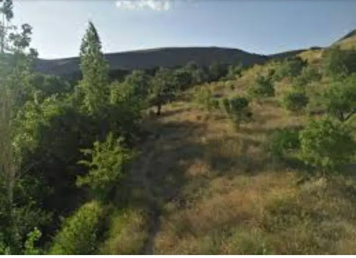 مزرعه بر جاده نراق  خاوه