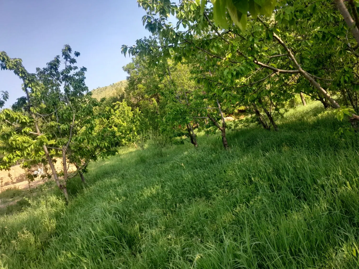 فروش زمین