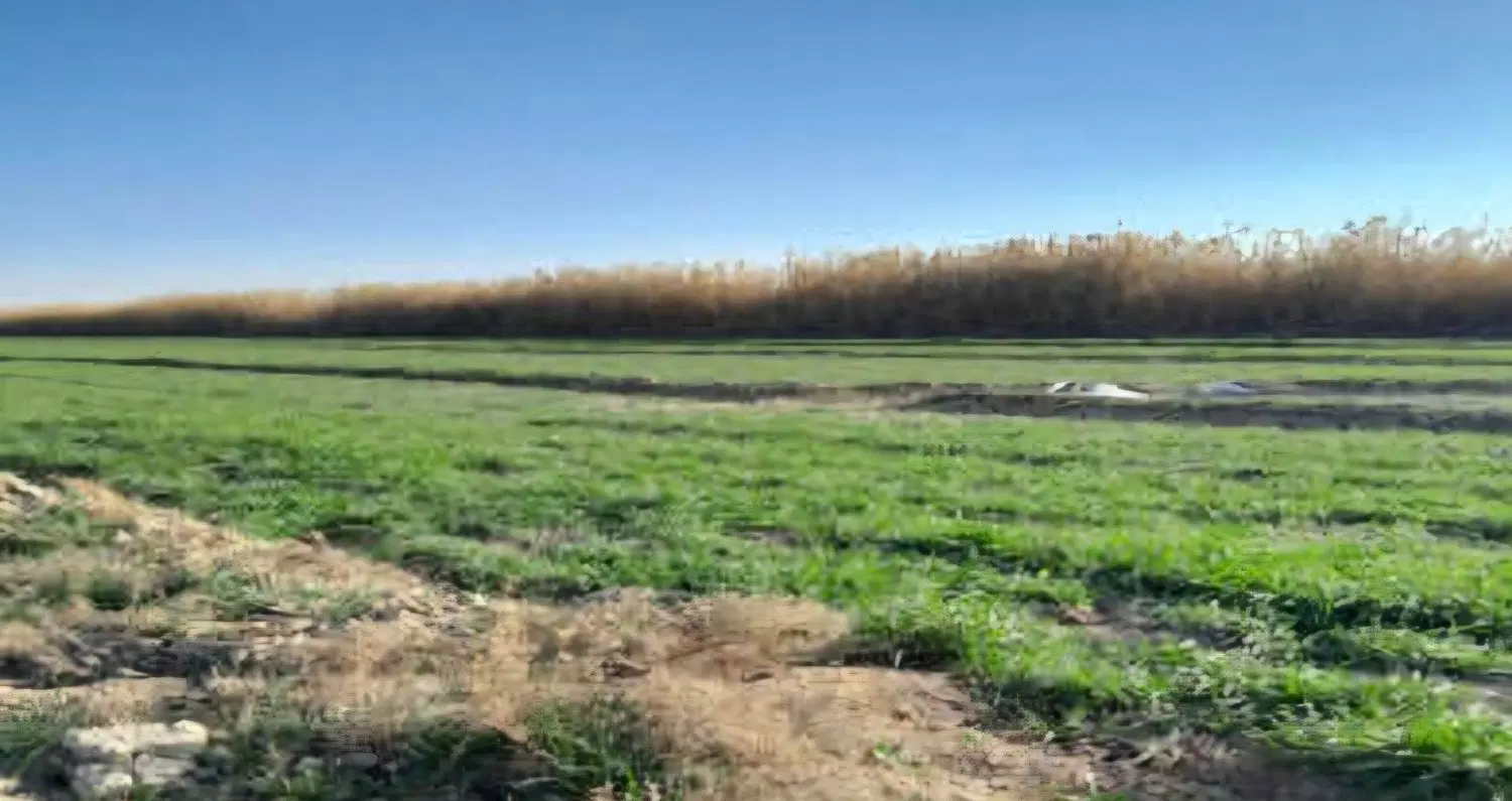 فروش زمین درروستای منشاد