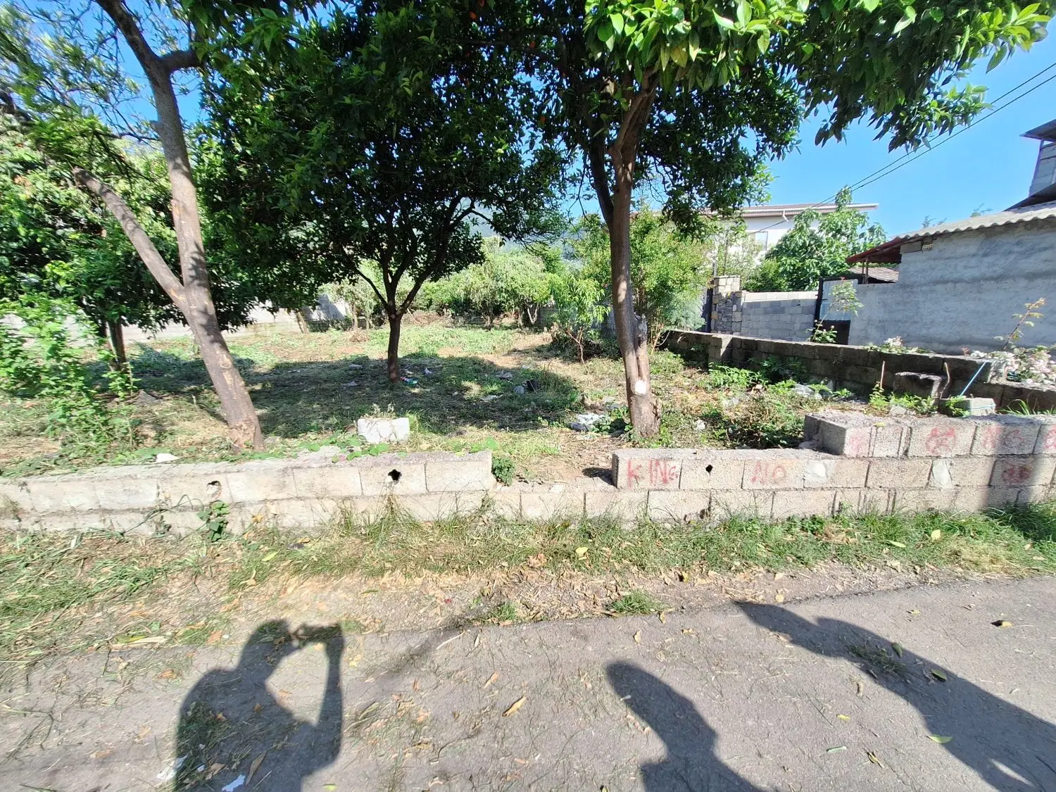 زمین با سند تک برگ