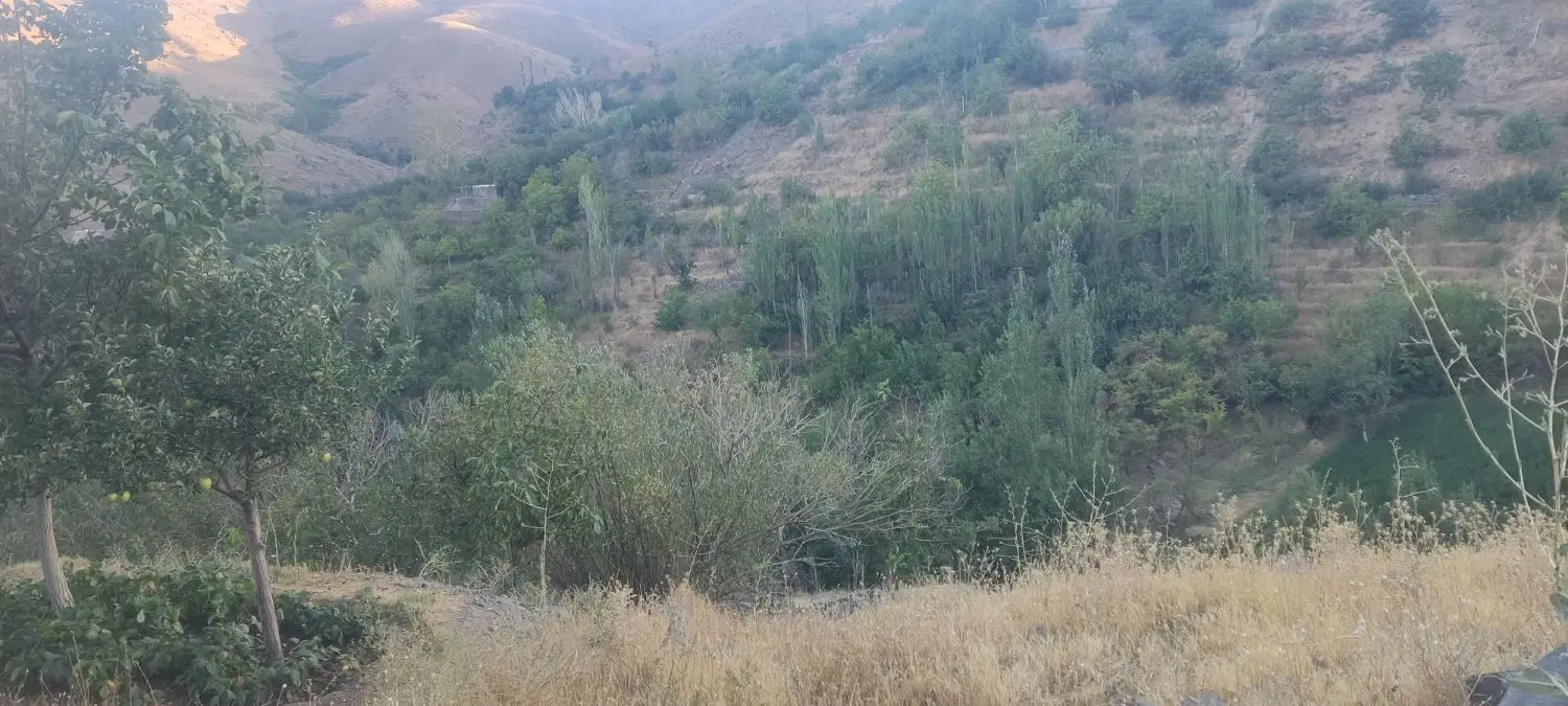 فروش باغ در نزدیکی همدان