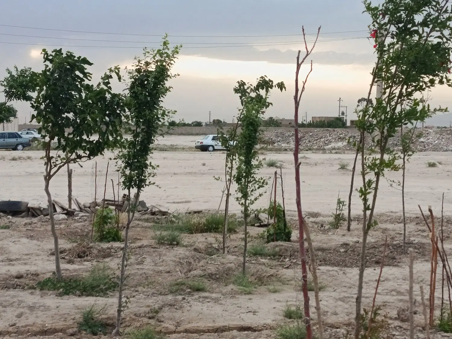 فروش یک باب باغ