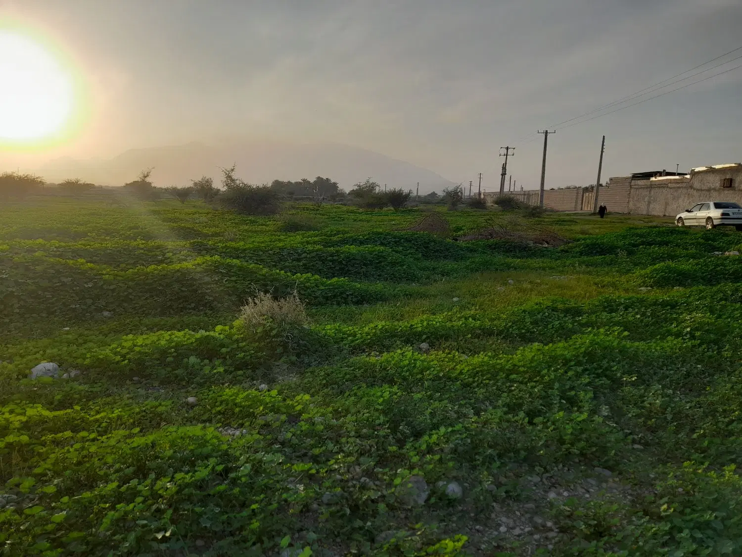 فروش زمین سرخون