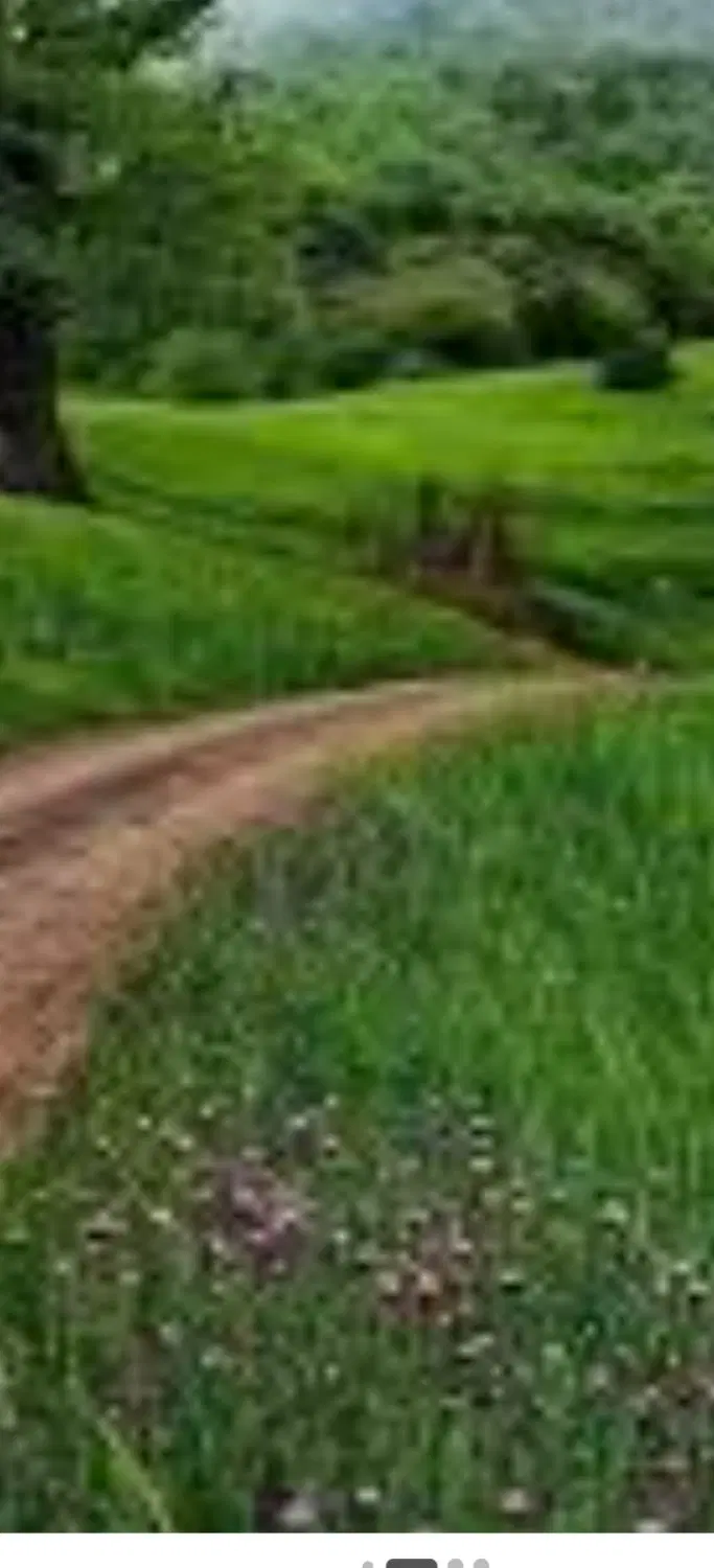 زمین مسکونی شمالی