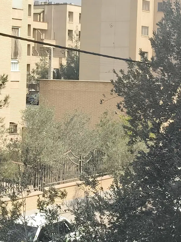 همخونه خانم