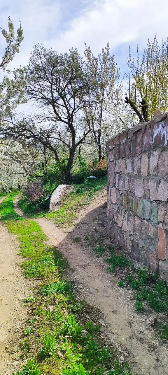 فروش 1200متر زمین باغی در روستای کیاده قزوین